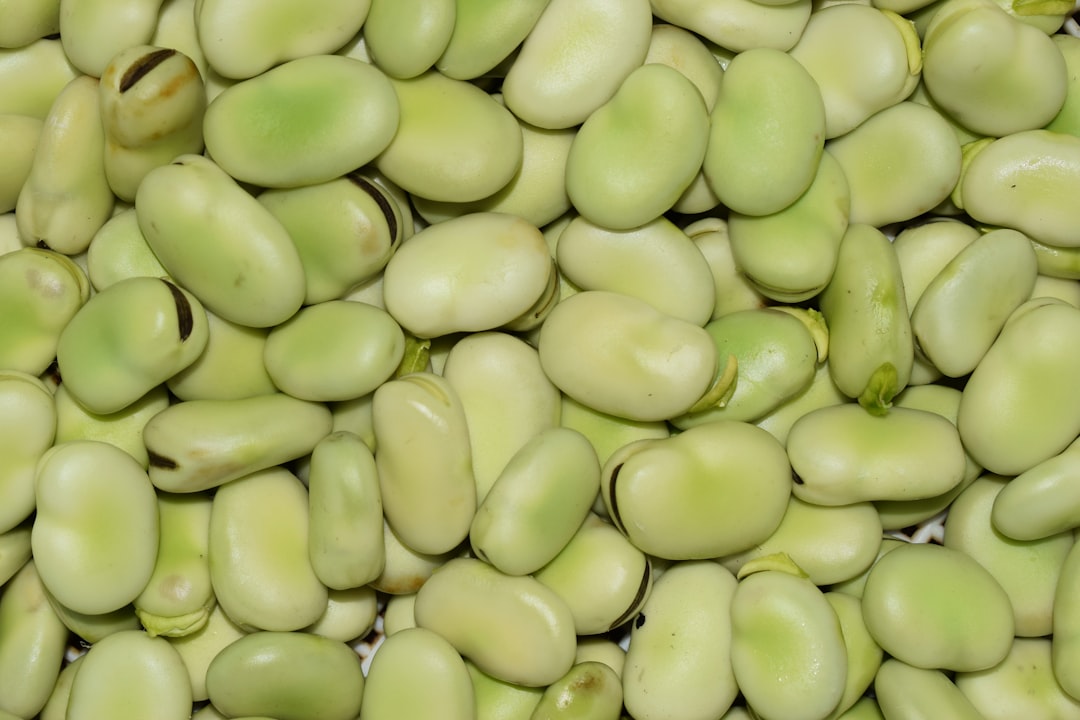 bean sprouts