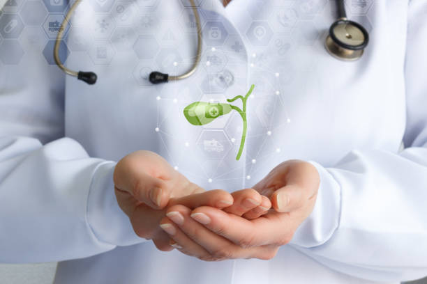 간 수치가 높을 때 원인