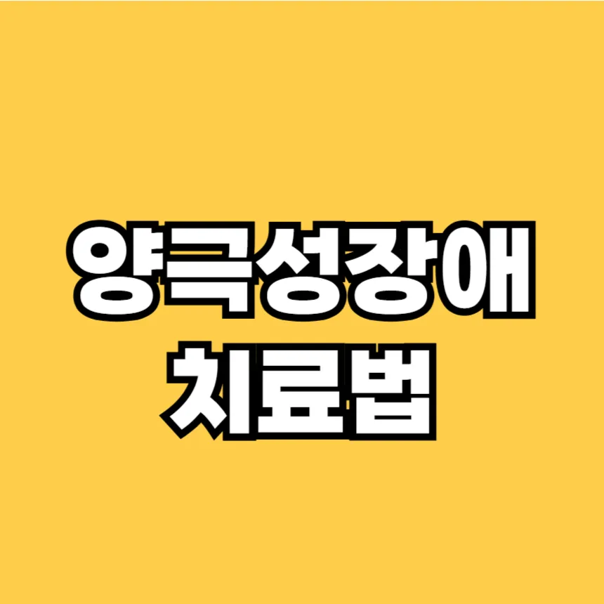 양극성장애 치료