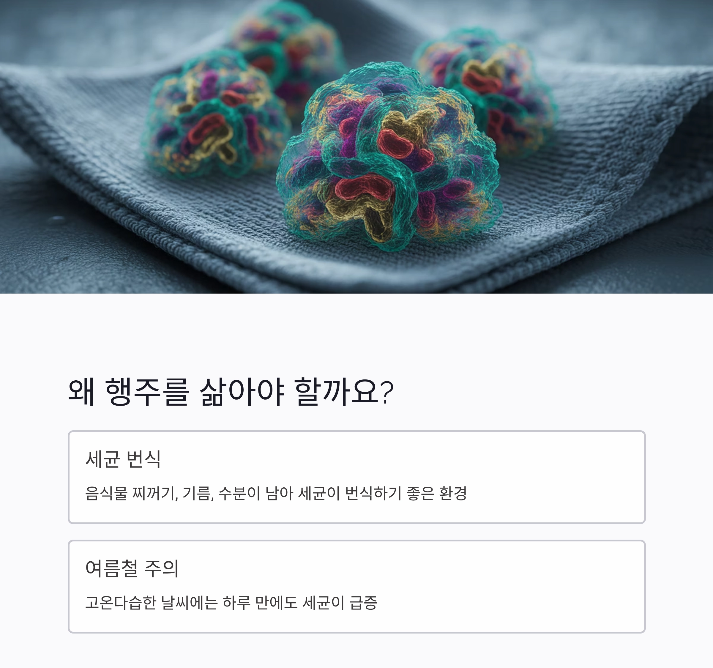 주방 행주 삶는 주기, 청결을 지키는 똑똑한 습관