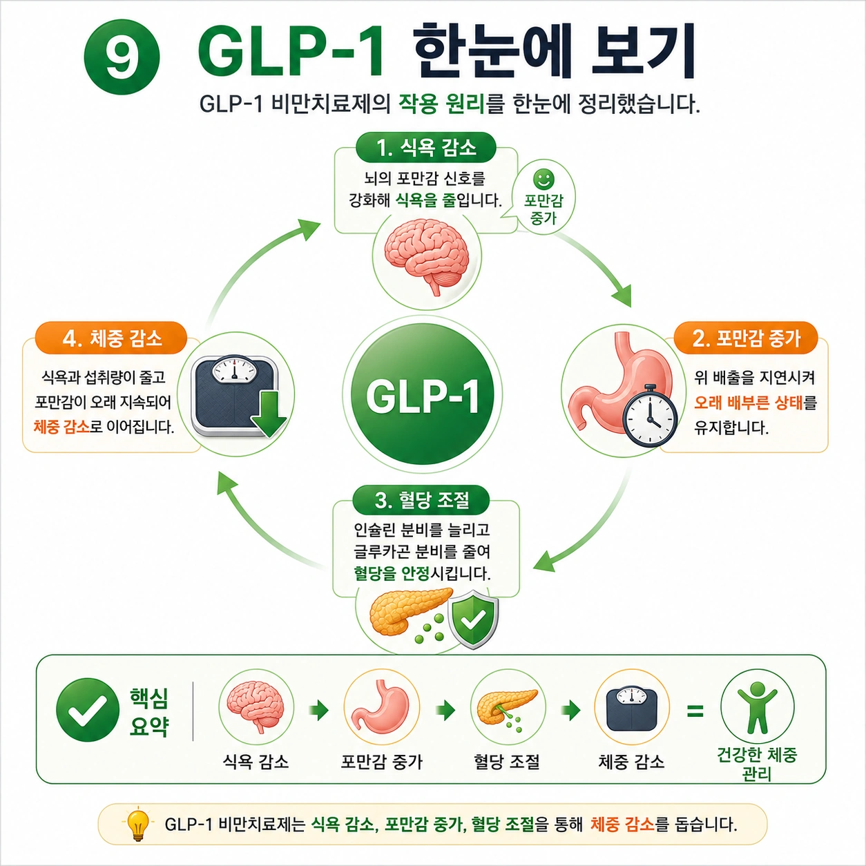 GLP-1-한눈에-보기