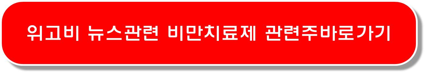비만치료제 관련주 6종목