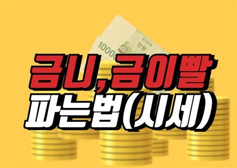 금니가격