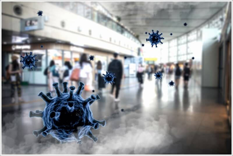 파라 인플루엔자 감염증