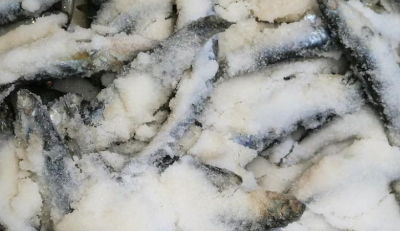 명태 이름 종류