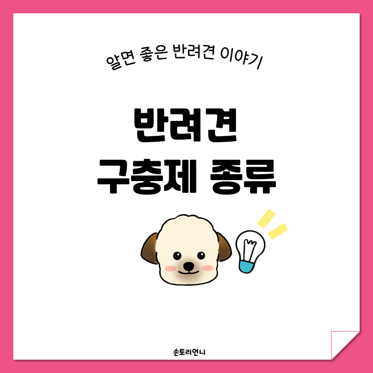 반려견 구충제 종류 대표이미지