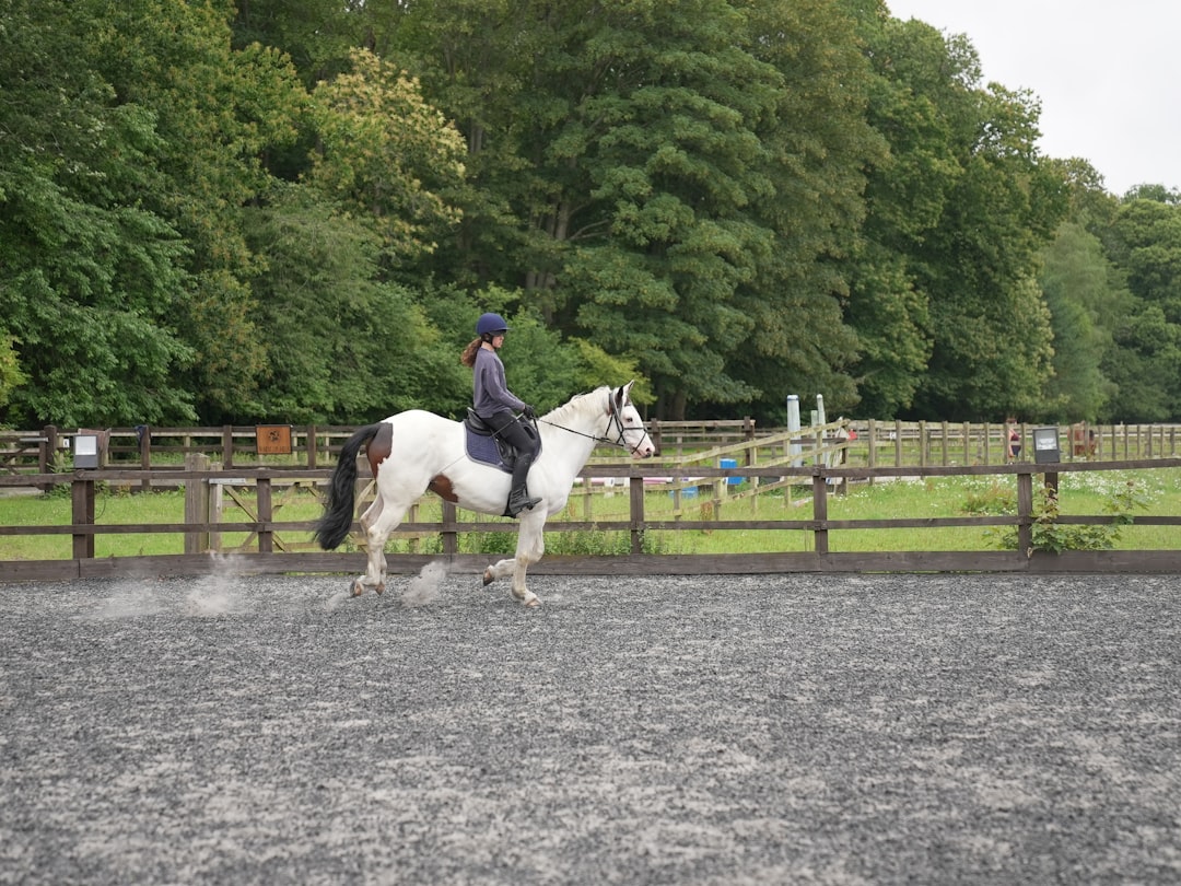 Trot.