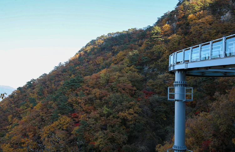 삼악산 케이블카 산책길