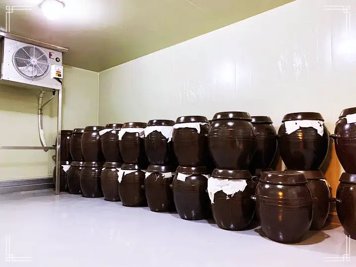 백반기행 파비앙 특별출연 프랑스 장관 플뢰르 펠르랭 김종숙 편 수제 막걸리 해물파전 꼬막비빔밥 서대찜 남도 백반 한정식 한상 종로 인사동 맛집 소개