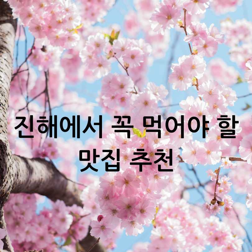 2025년 진해 군항제