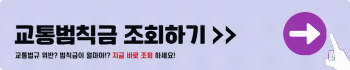 교통범칙금 조회하기