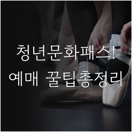 청년문화예술패스 지원 대상과 인터파크..