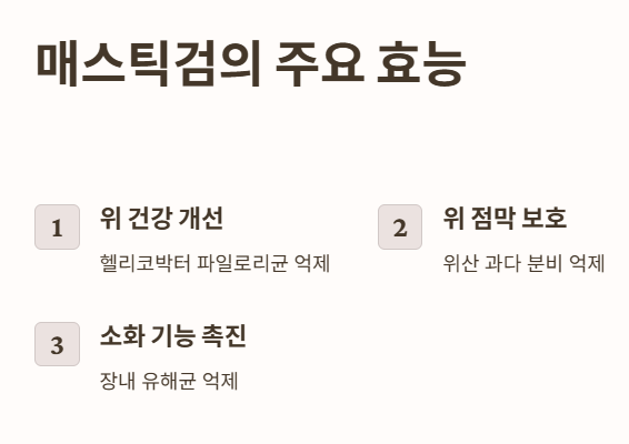 매스틱검의 주요 효능