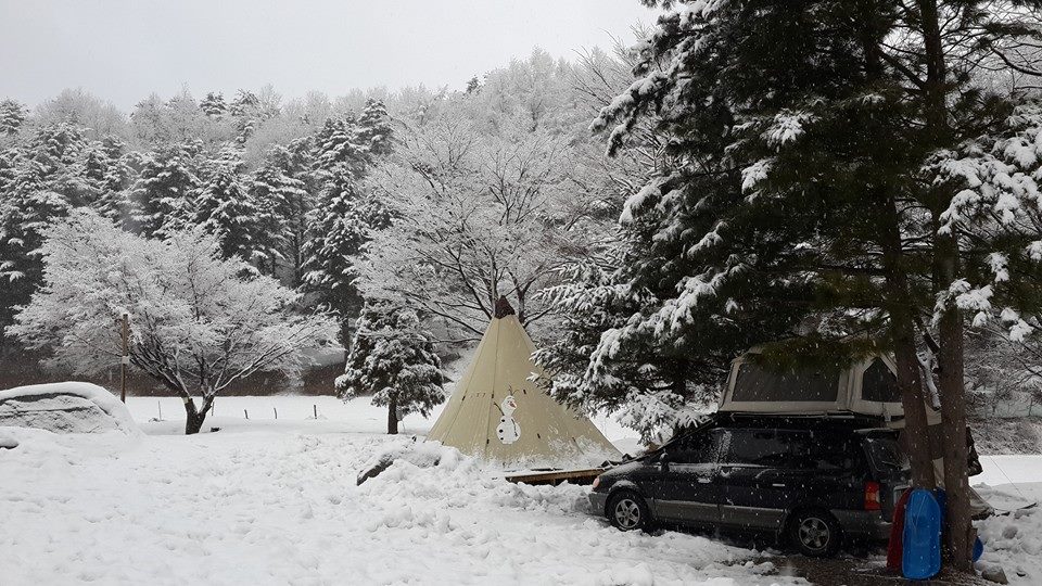대관령 솔내음오토캠핑장 소개