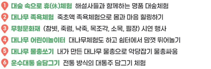 담양 대나무축제