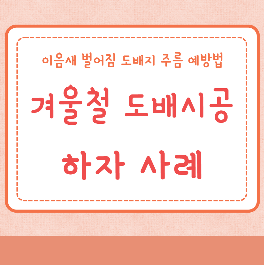 도배 시공하자 사례