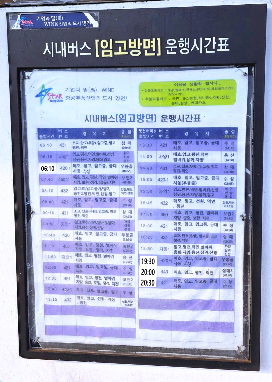 영천버스터미널 시내버스 임고 방면