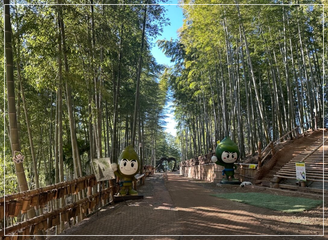 거제도 가볼만한곳 베스트10 거제맹종죽테마파크