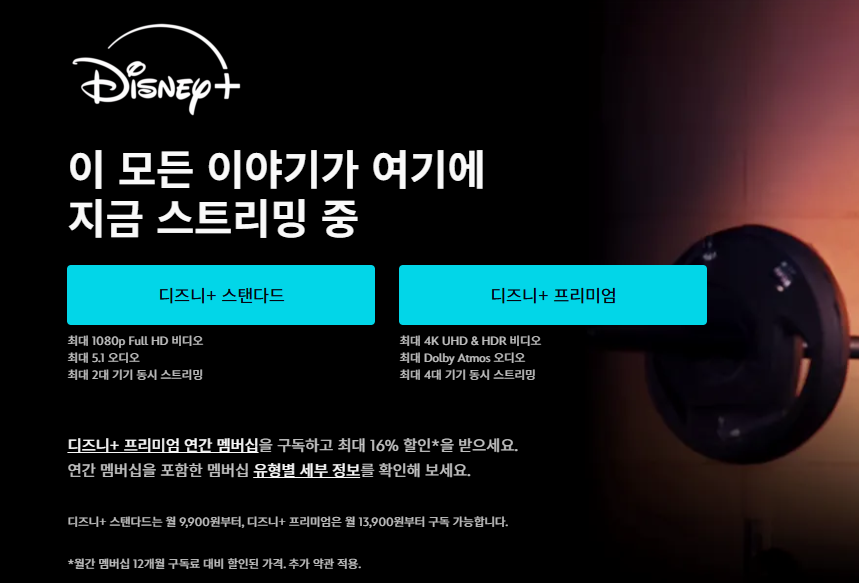 디즈니플러스
