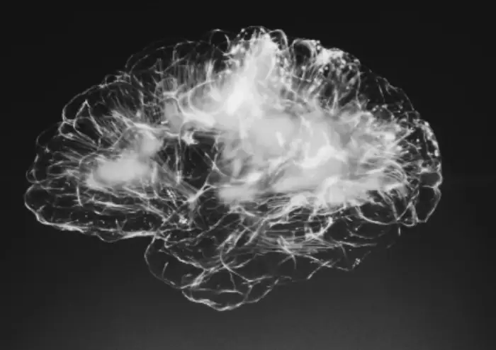 모야모야병 치료