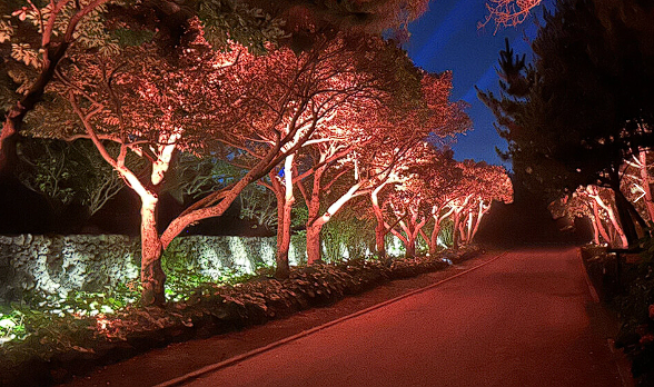 제주 민속촌 벨섬 입장료 할인