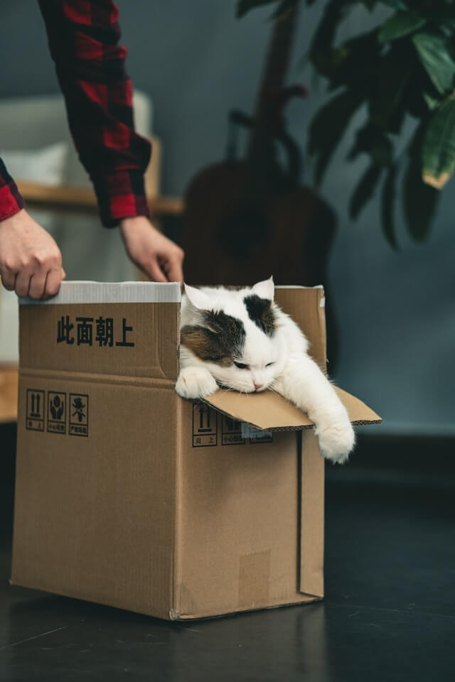 근린생활시설 전세&#44; 월세 계약 시 주의사항(+ 임대&#44; 매매)