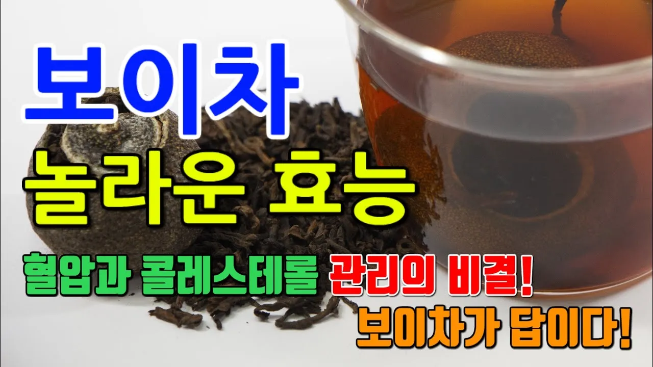 보이차 효능과 부작용에 대한 완벽 정리_2