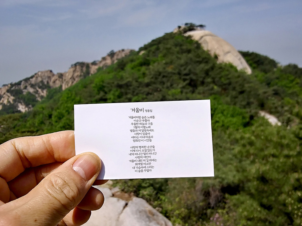 정홍일의 겨울비