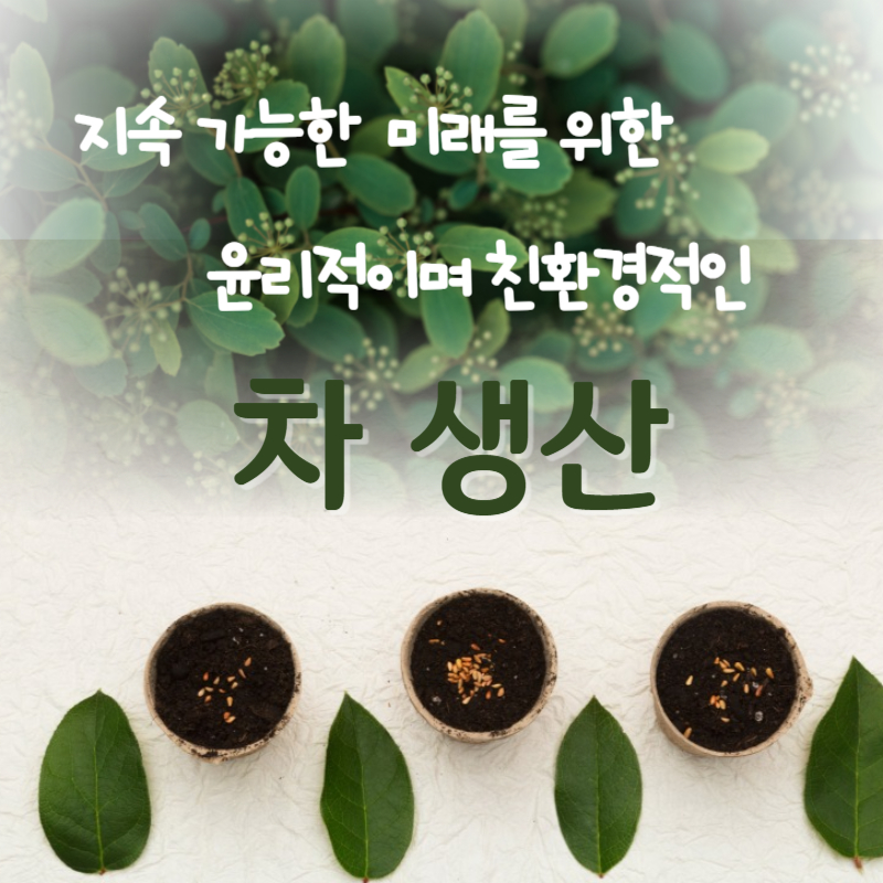 지속가능한 미래를 위한 윤리적이며 친환경적인 차생산