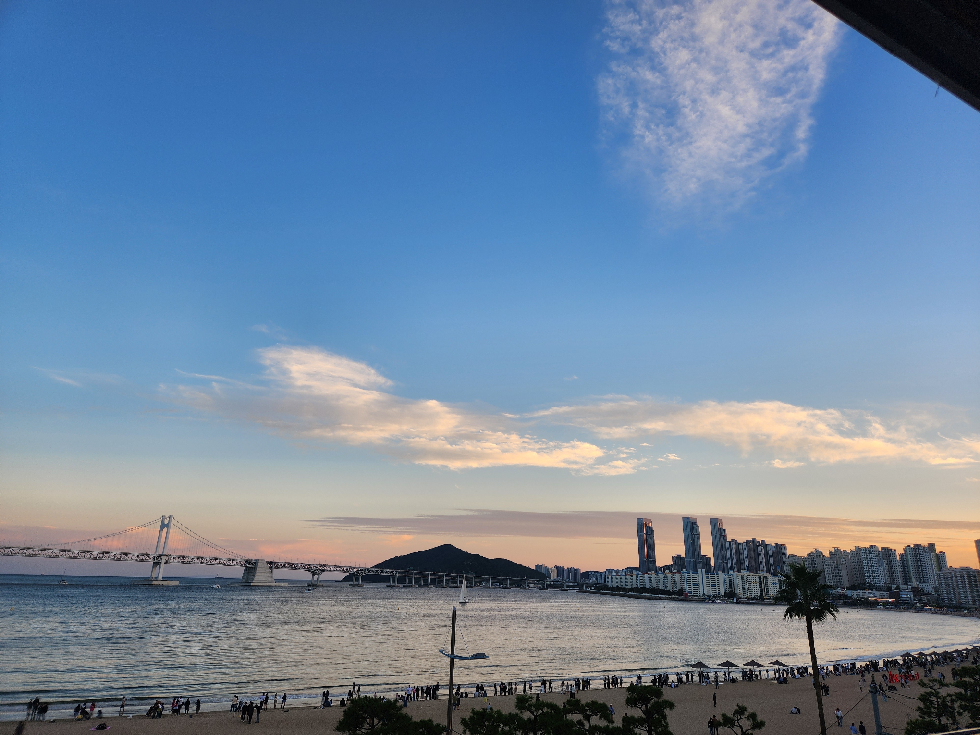 도쿄뱃살