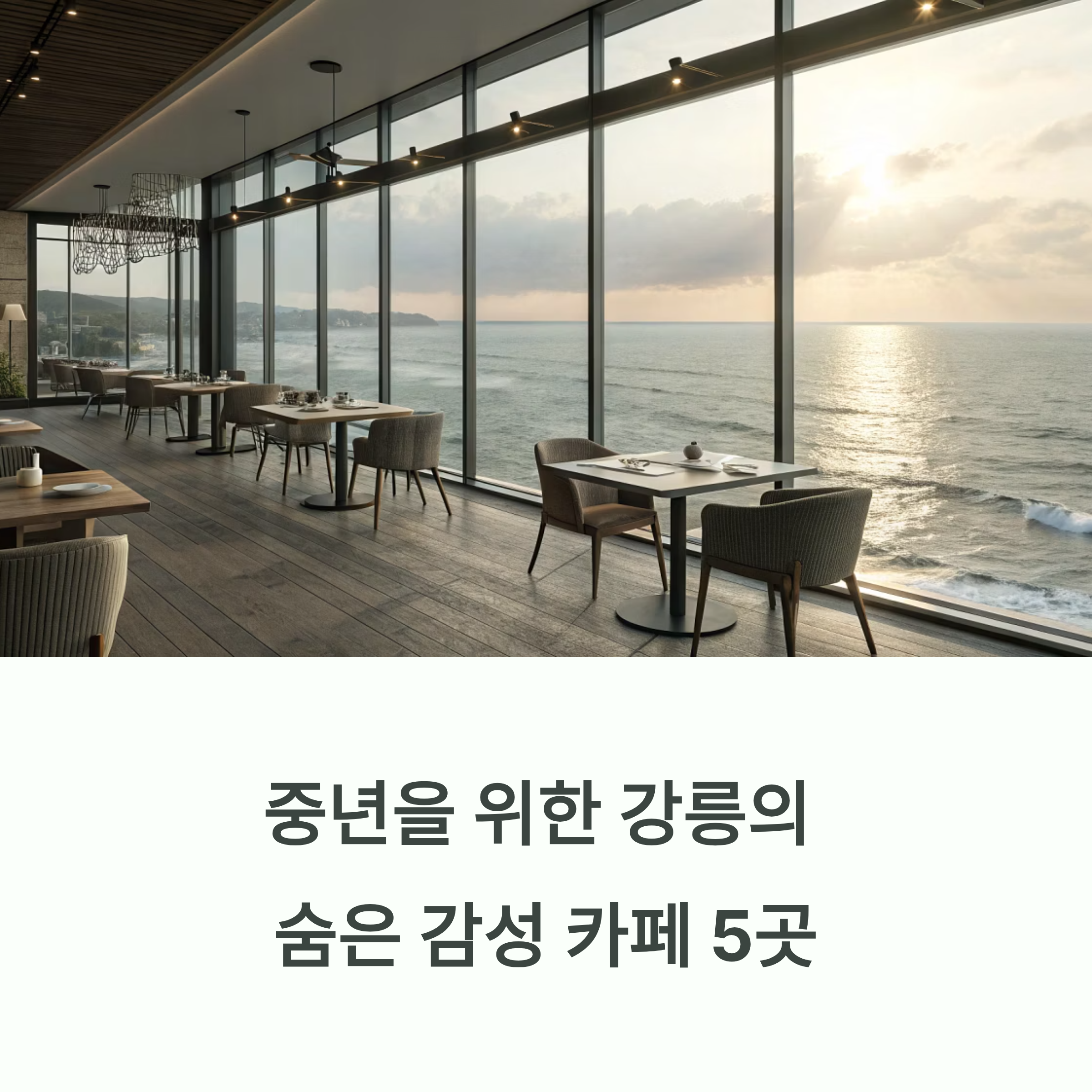중년 감성 저격! 강릉에서 찾은 '진짜' 조용한 카페 투어 BEST 5