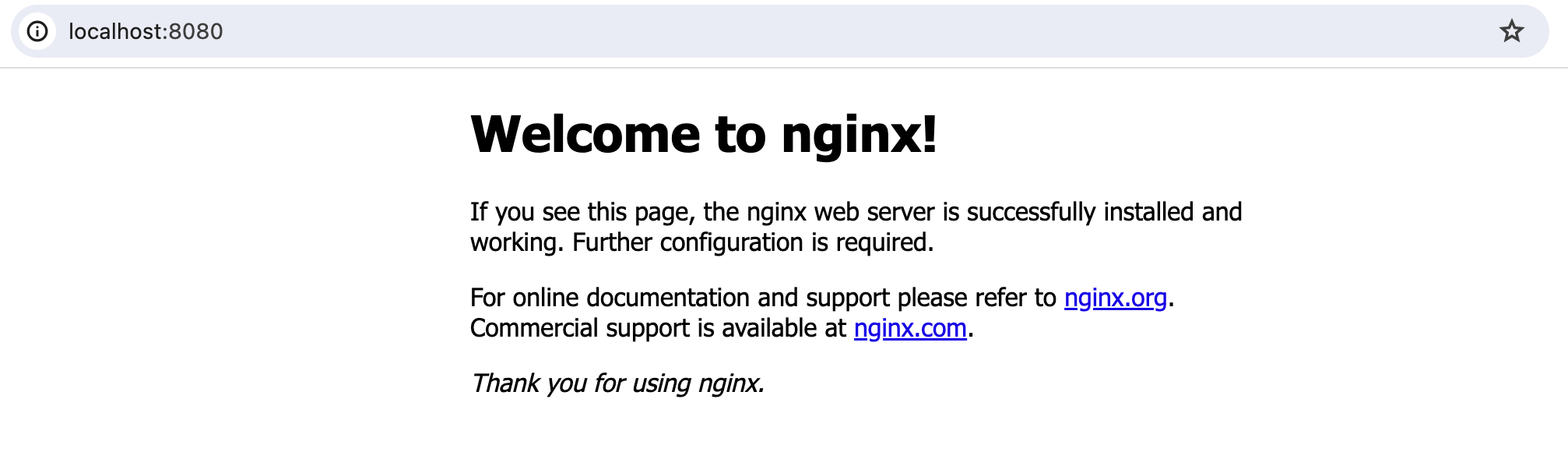 nginx 접속 실행 결과 화면