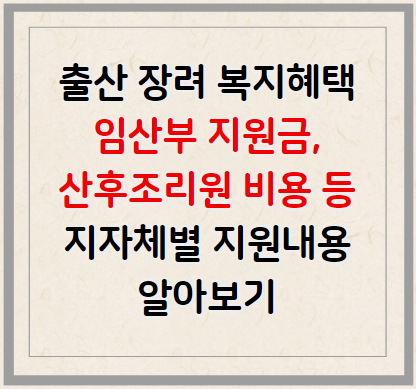 출산 장려 복지 혜택 - 임산부 지원금, 산후조리원 비용