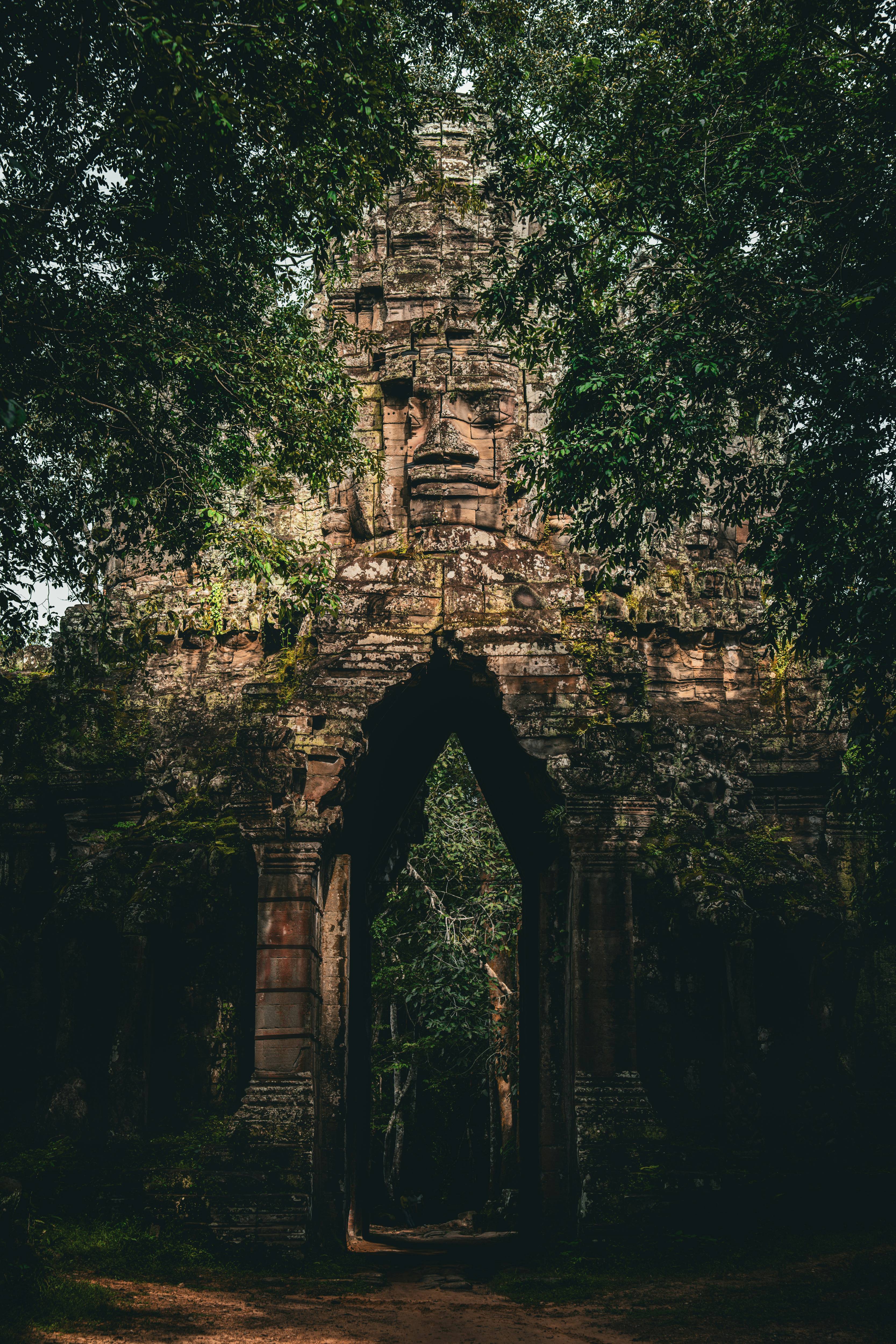 캄보디아프놈펜한국인납치현황|330건신고·63명구금실태총정리 및 정부대응현황