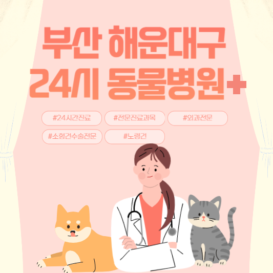 부산 해운대구 24시 동물병원