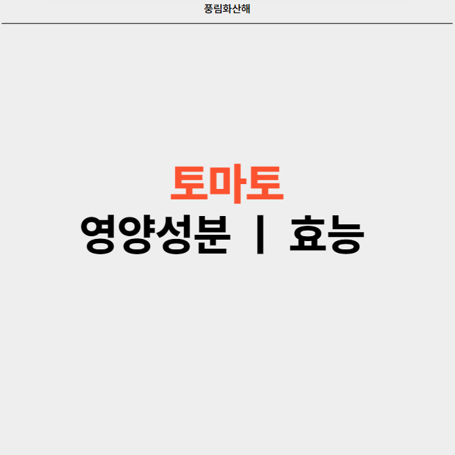 토마토 주요 영양성분과 효능, 간편한 섭취 방법