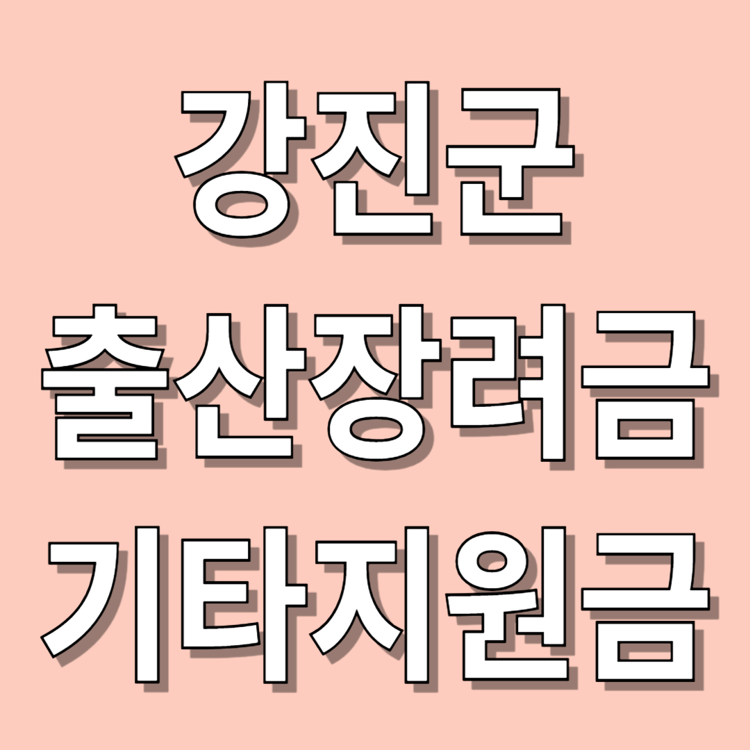 강진군 출산장려금