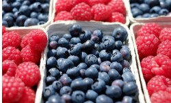 화성시 온누리 상품권 사용처 확인하기 관련 시간