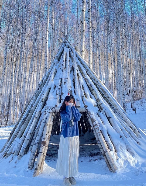 눈덥힌-자작나무숲