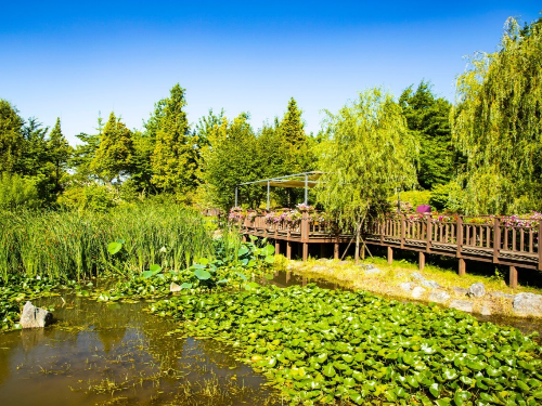 대부도 갈만한곳 바다향기 수목원 볼거리