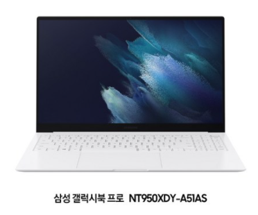삼성전자 2021 갤럭시북 프로 15.6, 미스틱 실버, 코어i5 11세대, 256GB, 16GB, WIN10 Home, NT950XDY-A51AS
