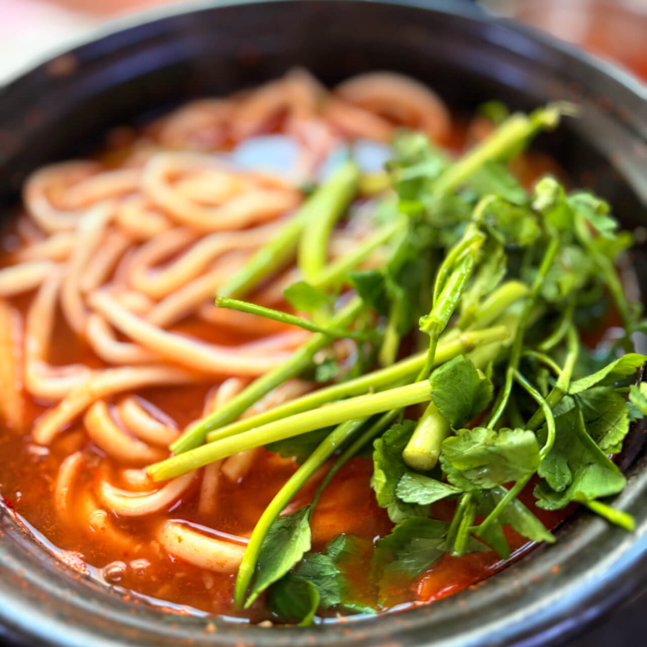 전현무계획2 요아정 특집 서울 강서구 버섯매운탕 칼국수 맛집 등촌최월선칼국수