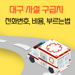 대구 사설 민간 구급차 전화번호 비용 부르는 법