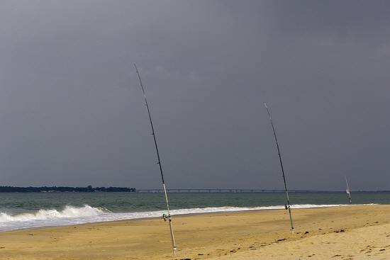 갈치 루어낚시 채비법