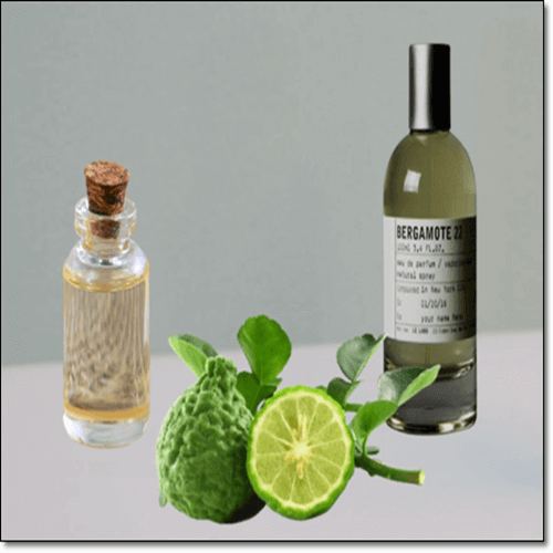 베르가못 효능, 베르가못 오일 사용법과 주의점