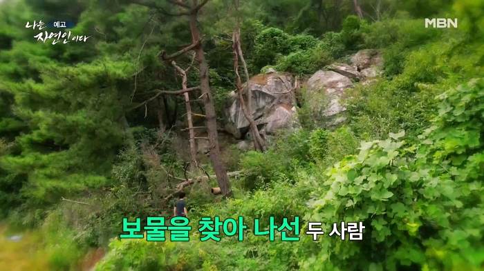 나는-자연인이다-윤택
