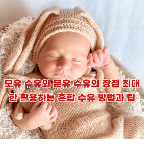 모유 수유와 분유 수유의 장점 최대한 활용하는 혼합 수유 방법과 팁
