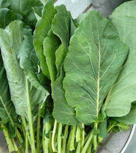 근대 효능과 부작용 나물 먹는법 고르는법 칼로리