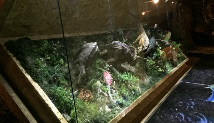 우석헌 자연사 박물관