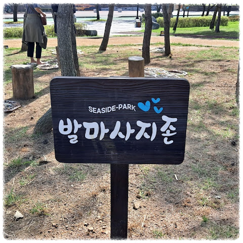 씨사이드파크 족용장